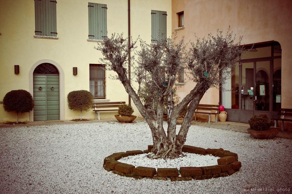 Апартаменти Agriturismo Cascina Boschi Вольта-Мантована Екстер'єр фото